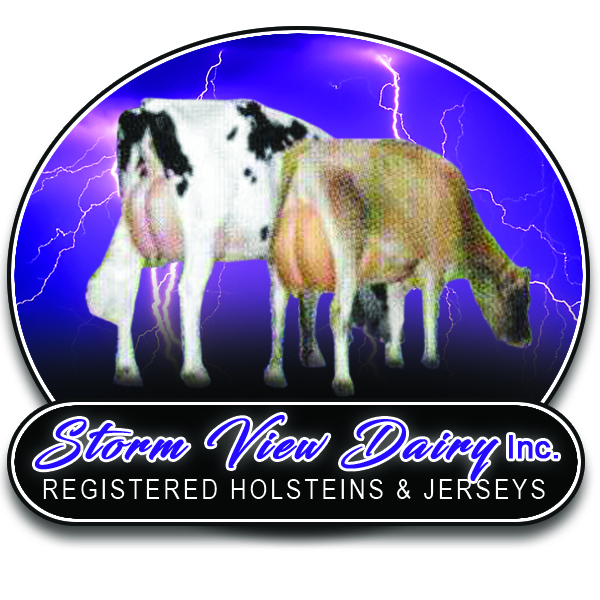 Kaukauna bovine, Martha, achieves Jersey Cow greatness
